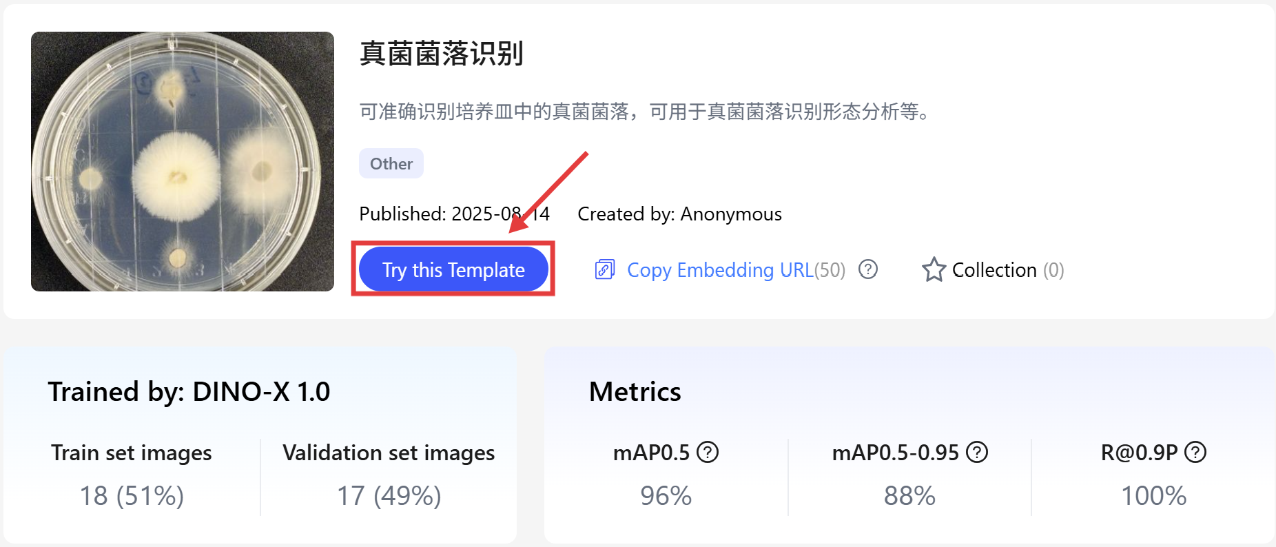 图1 点击试试这个模板.png